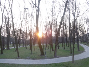 park i słońce mini